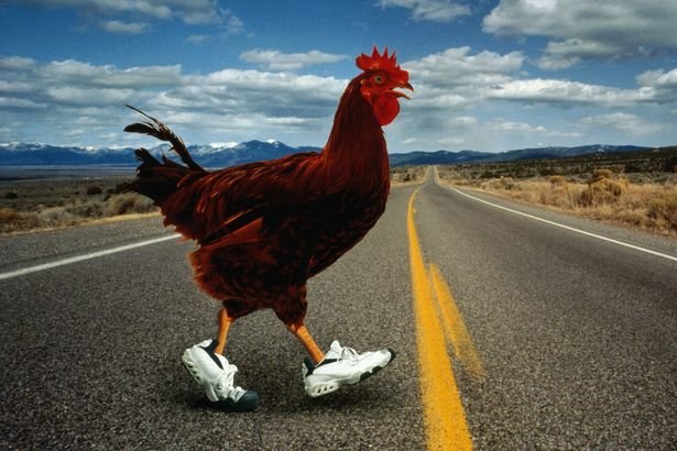 Chicken road italia a Italy Chicken road italia a Italy